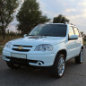Капот DTM для B@3 2123 Chevrolet Niv@ купить недорого с доставкой в Ишим