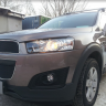Защита радиатора "Standart" Chevrolet Captiva рестайлинг (2013-2015) чёрная купить недорого с доставкой в Ишим