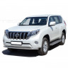 Защита переднего бампера «Труба» (d63,5) для Toyota Land Cruiser Prado 150 (2013-2017)(Окрашенное) купить недорого с доставкой в Ишим