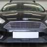 Защита радиатора "Standart" Ford Focus III рестайлинг (2014-2019) под датчик ACS+ASLD, чёрная купить недорого с доставкой в Ишим