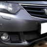 Защита радиатора "Standart" Honda Accord (2008-2011) чёрная купить недорого с доставкой в Ишим